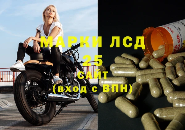 шишки Алексин