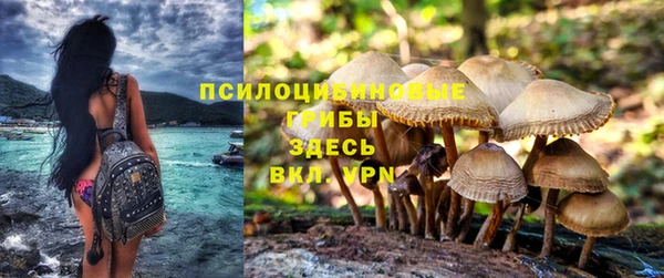 гидра Алексеевка