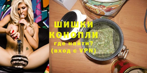 гидра Алексеевка