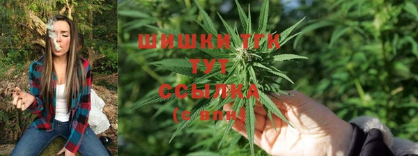 гидра Алексеевка
