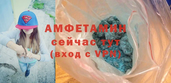 шишки Алексин
