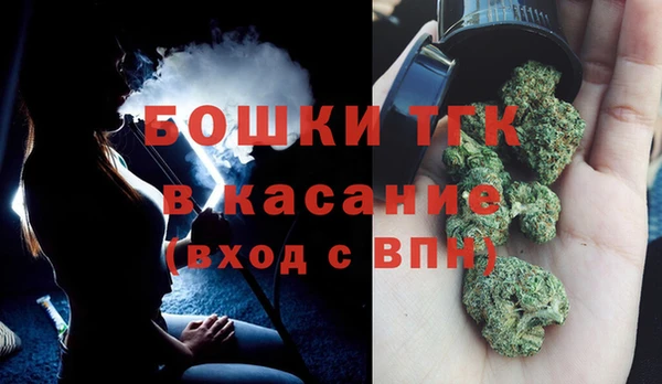 шишки Алексин