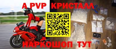 ECSTASY Канаш